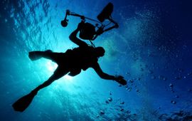 Pixabay Diver