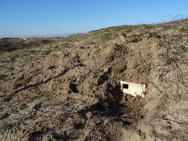 Ingegraven nestkast