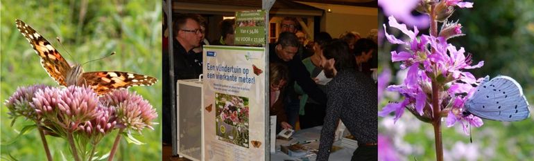 Veel belangstelling voor de stand van De Vlinderstichting op Tuinidee. Ook voor de vierkante meter vlindertuin met onder andere koninginnenkruid (links met distelvlinder) en kattenstaart (rechts met boomblauwtje)