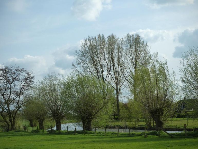 Landschap met de Kromme Rijn