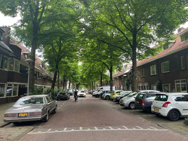 In deze Utrechte straat bepalen hoge bomen en geparkeerde auto's het straatbeeld. Maar hoe mooi zou deze straat er niet uitzien zonder auto's?