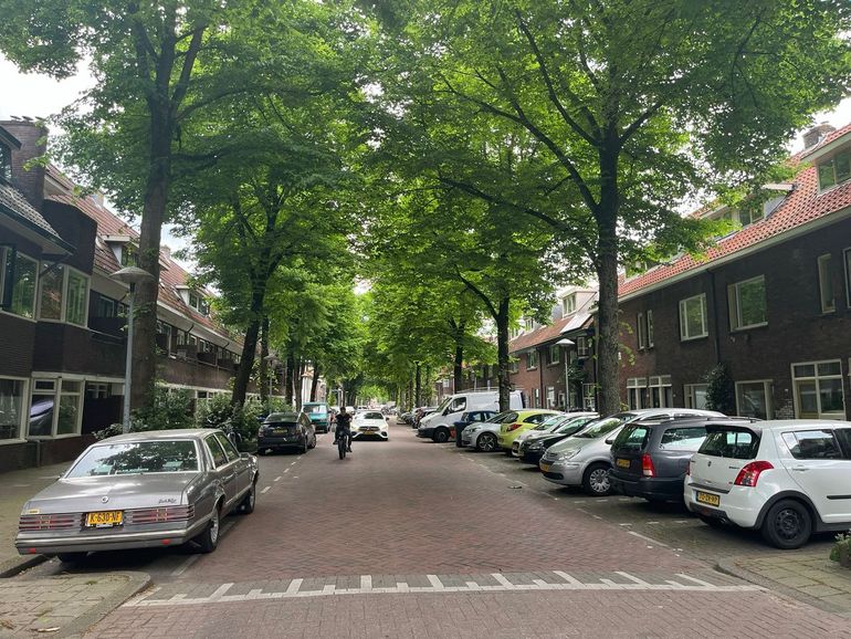 In deze Utrechte straat bepalen hoge bomen en geparkeerde auto's het straatbeeld. Maar hoe mooi zou deze straat er niet uitzien zonder auto's?