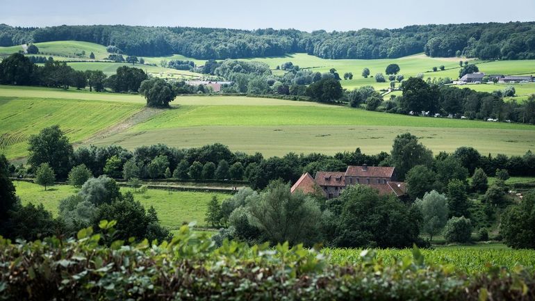 Het Limburgse landschap biedt voldoende afwisseling voor bijen