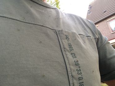 Groot aantal bladluizen op shirt tijdens fietsen