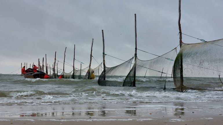 NIOZ fish fyke at the Wadden Sea inlet on Texel has been monitoring fish stocks since 1959