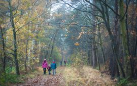 wandelen - eenmalig gebruik