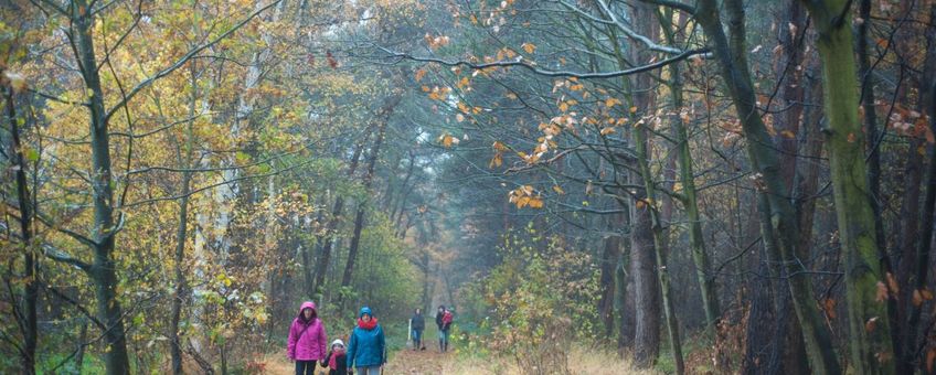 wandelen - eenmalig gebruik