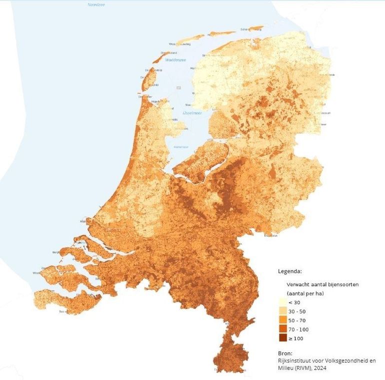 Het RIVM maakte de kaart ‘Bijendiversiteit’ met gegevens van Naturalis in 2025. Klik op de kaart voor een interactieve versie