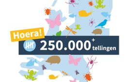 Jaarrond Tuintelling 250.000 Tellingen