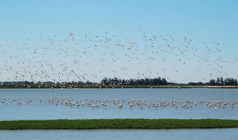 Doñana, Spanje