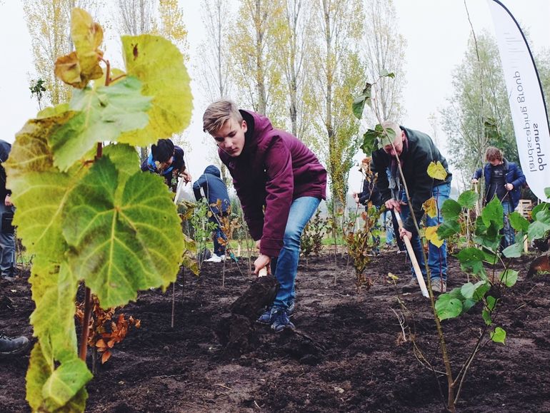 In tien jaar tijd willen we een miljoen bomen planten