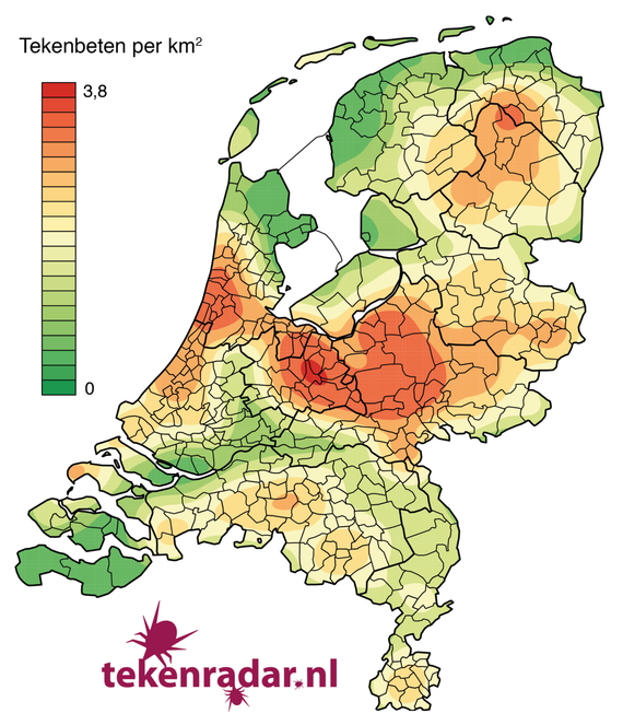 Dichtheid van tekenbeetmeldingen gemeld via Tekenradar.nl in 2012 en 2013