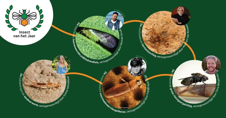 De kandidaten van 2026