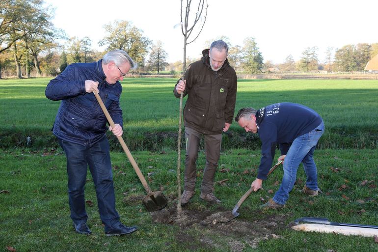 Gedeputeerde Gert Harm ten Bolscher van de provincie Overijssel, adjunct directeur Eibert Jongsma van Landschap Overijssel en wethouder Michael Geerdink van Borne planten een boom