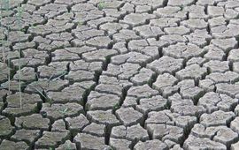 Kars Veling droogte - primair