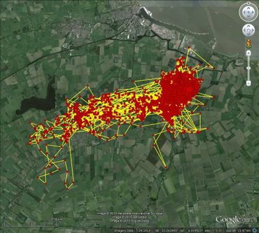 Kaartje met hogeresolutiedata van GPS-logger Bruine Kiekendief ’William’