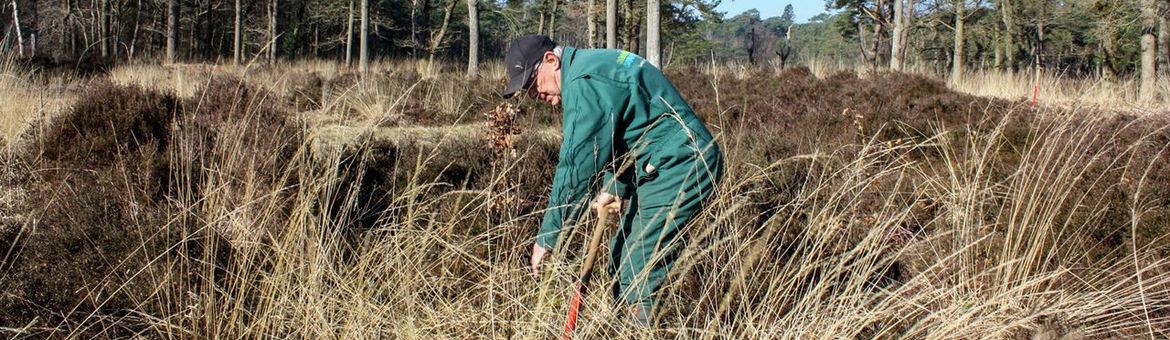 Dick Huitema zet zich al 12 jaar met hart en ziel in als vrijwilliger bij Landschapsbeheer Friesland.