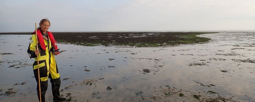 Karin Troost aan het werk - eenmalig gebruik door WUR