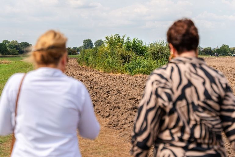 Wijkerzand (Wijk en Aalburg), struweelhaag middenin agrarisch gebied