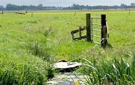 Joachim van der Valk, Vogelbescherming Nederland Weiland