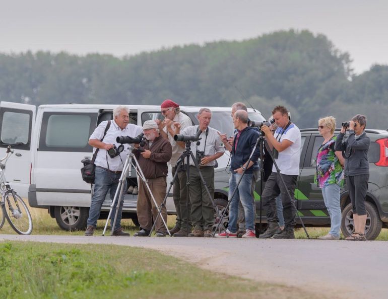 Vogelaars staan klaar voor de eerste vlucht van het jong