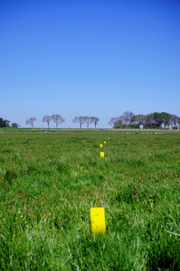 Plakvallen in het veld