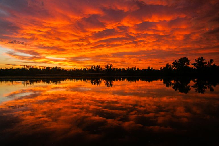 Zonsondergang in de Biesbosch