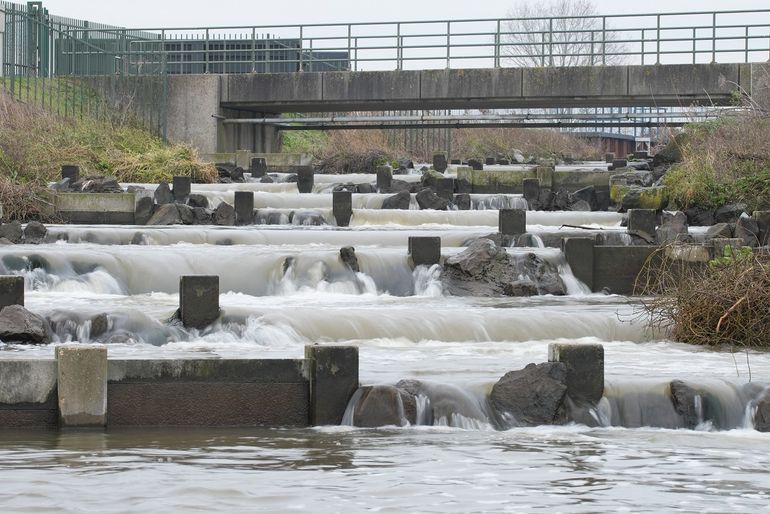 De vistrap bij Lith is voor rivierprik erg moeilijk passeerbaar door groot verval bij de treden, sterke stroming en chaotische turbulentie