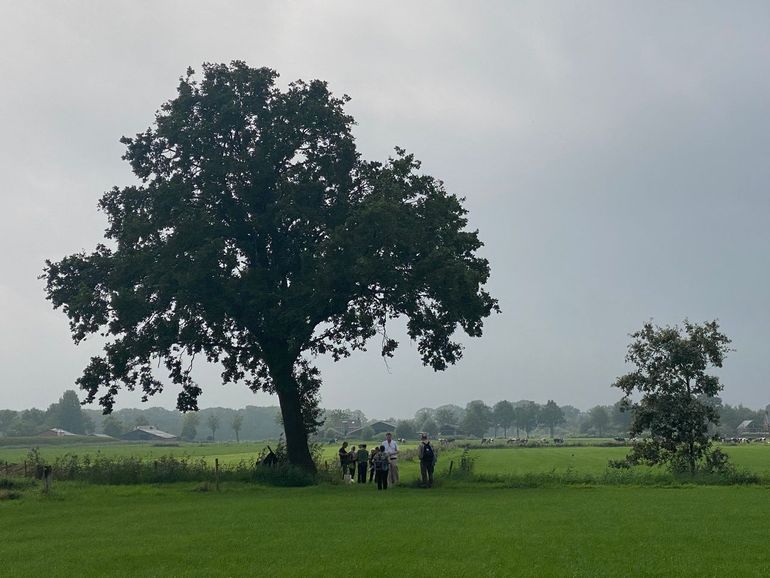 Vrijwilligers meten de Basiskwaliteit Natuur