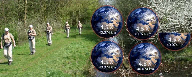 De meetnettellers hebben al meer dan 180.000 kilometer vlinders geteld!