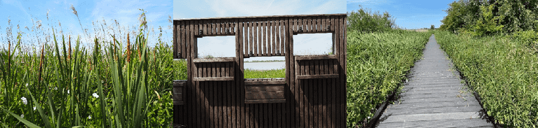 Even wandelen door de Oostvaardersplassen