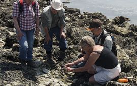 Peter H van Bragt Succesvolle Excursie Langs de Laagwaterlijn van de Oosterschelde voor Sponsoren van Natuurbericht