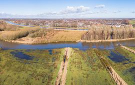 Klimaatbuffer Vierde Bergboezem Breda