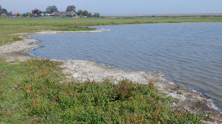 Het meer is zo geschikt mogelijk gemaakt voor weidevogels en andere steltlopers