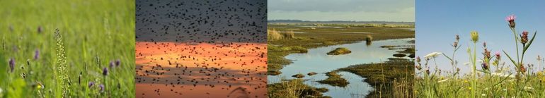 Toekomst voor Natuur
