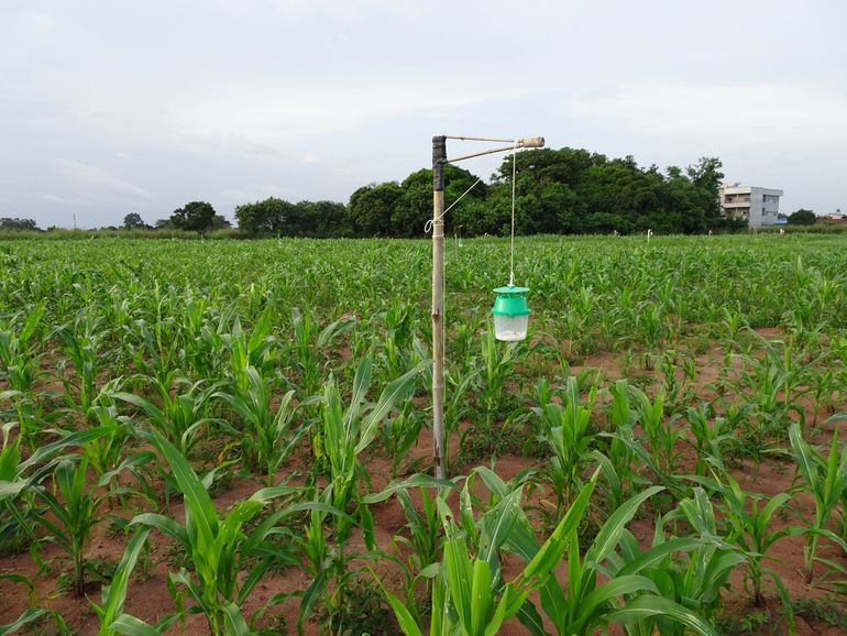 Lokstoffen in Benin