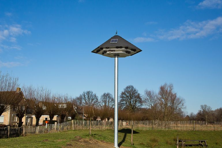 De huiszwaluwtil biedt de huiszwaluw een plekje om te broeden