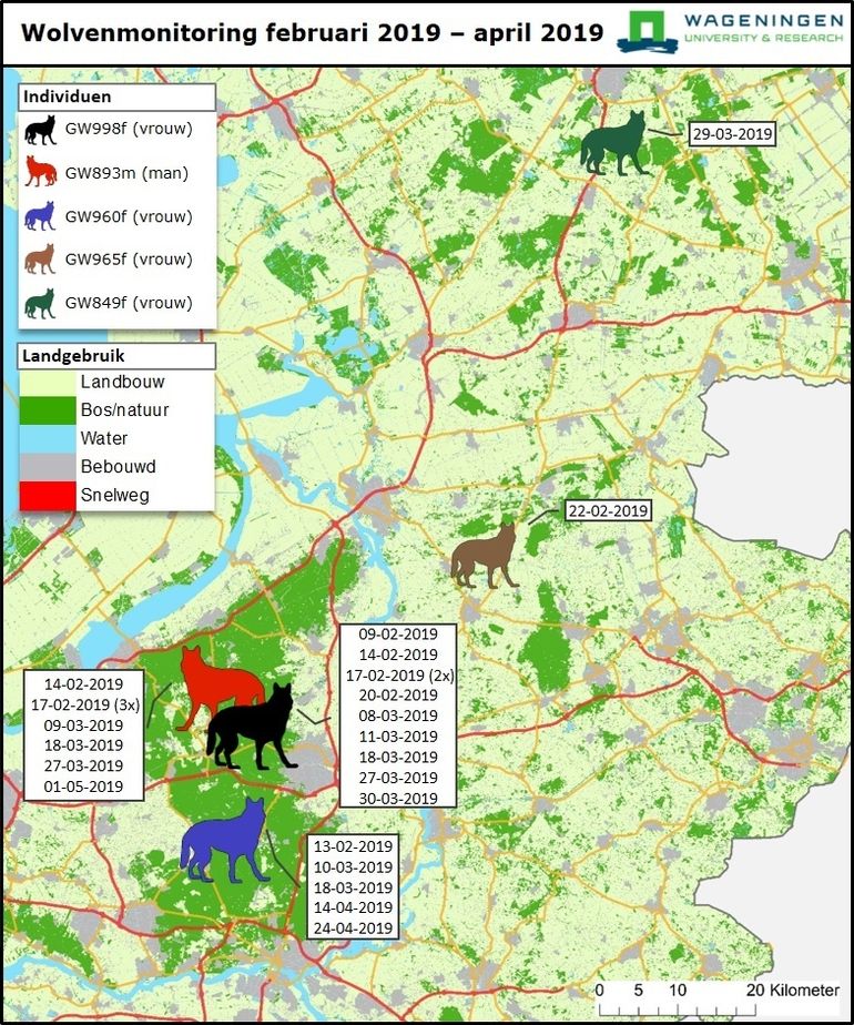 Overzichtskaart met de aanwezigheid wolven in Nederland in de periode van 1 februari – 1 mei 2019