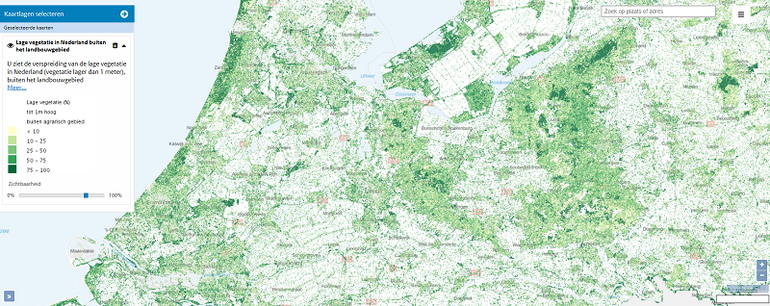 Gelukstoeslag wordt gevonden bij plekken met lage vegetatie 