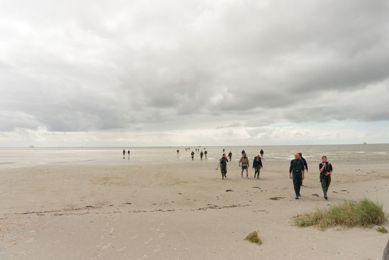 Op het wad nabij Griend