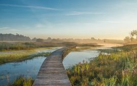 Michel Hol vlonderpad Empese en Tondense heide