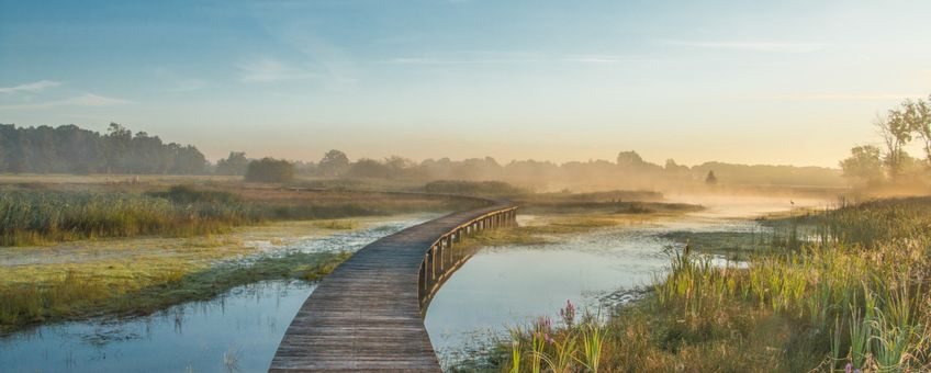 vlonderpad Empese en Tondense heide