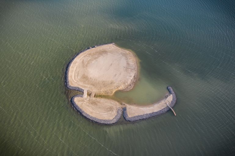 Bliek: vogel- en viseiland in het Haringvliet