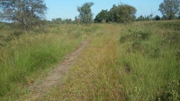 Een deel van het traject in het Groot Goor Een deel van het traject in het Groot Goor
