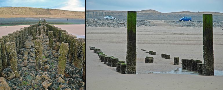 Links: ongeschonden habitat met grote stenen en veel schuilgelegenheden voor Purperslakken. Rechts: biotoop dat na zandsuppleties volledig onder het zand is beland en waar geen Purperslakken meer voorkomen