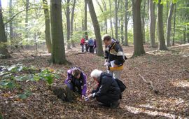Inventariseren van paddenstoelen op de Wagenignse berg door de KNNV afdeling Wageningen en omstreken
