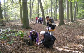 Willem Wielemaker Inventariseren van paddenstoelen op de Wagenignse berg door de KNNV afdeling Wageningen en omstreken