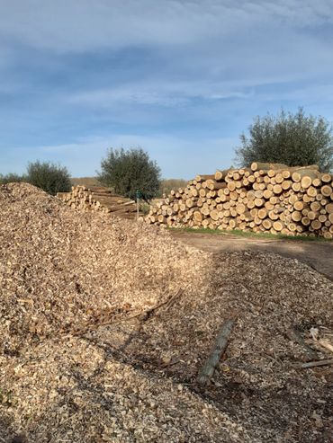 Toediening van restmateriaal van bomen...