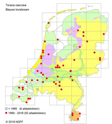 Verspreidingskaartje Blauwe korstzwam in 2018