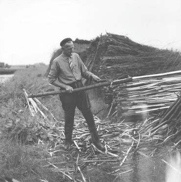 Het schillen van griendhout in vroeger tijden